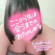 ヒメ日記 2026/04/05 12:22 投稿 せりね 香川サンキュー