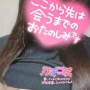 ヒメ日記 2026/04/17 14:02 投稿 せりね 香川サンキュー