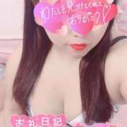 ヒメ日記 2026/04/18 15:52 投稿 せりね 香川サンキュー