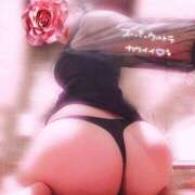 ヒメ日記 2026/04/17 19:12 投稿 柳川　ゆりか 雅(みやび)