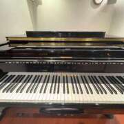 ヒメ日記 2026/03/17 07:53 投稿 かのん クラブ貴公子