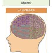 ヒメ日記 2026/03/19 08:20 投稿 いこま ちゃんこ大阪