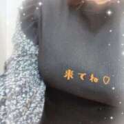 ヒメ日記 2026/04/07 13:48 投稿 にこ 白いぽっちゃりさん