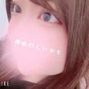 ヒメ日記 2026/05/12 15:42 投稿 にこ 白いぽっちゃりさん