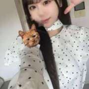 もあ もう夏なの??出勤? 葛西コスプレメイド学園（シンデレラグループ）