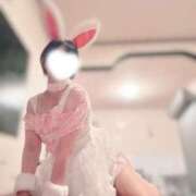 ヒメ日記 2026/03/28 17:49 投稿 ちひろ 恋するバニー