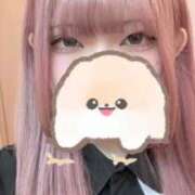 ヒメ日記 2026/04/28 11:35 投稿 よう 黒い金魚（札幌）