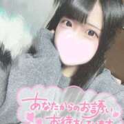 ヒメ日記 2026/03/15 13:13 投稿 ひな ぷるるん小町日本橋店