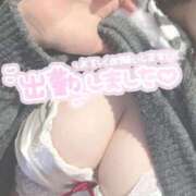 ヒメ日記 2026/03/15 14:09 投稿 ひな ぷるるん小町日本橋店