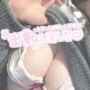 ヒメ日記 2026/03/15 14:17 投稿 ひな ぷるるん小町日本橋店