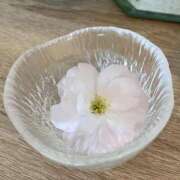 ヒメ日記 2026/04/08 10:31 投稿 芹（セリ） アバンチュール(五反田)