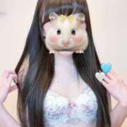 ヒメ日記 2026/03/28 22:21 投稿 しろ 舐めフェチの会