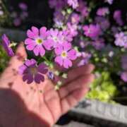 ヒメ日記 2026/04/24 19:49 投稿 栗原 鶯谷デッドボール