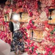 ヒメ日記 2026/06/11 06:37 投稿 神崎　れい 汝々艶 梅田店