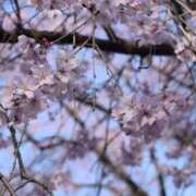 ヒメ日記 2026/03/28 13:58 投稿 まつり 川越おかあさん