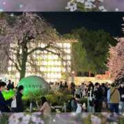 ヒメ日記 2026/03/14 15:36 投稿 まつり 大宮おかあさん