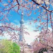 ヒメ日記 2026/04/04 19:16 投稿 まつり 大宮おかあさん