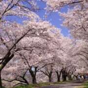 ヒメ日記 2026/04/05 11:32 投稿 まつり 大宮おかあさん