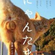 ヒメ日記 2026/04/16 14:39 投稿 井上　かな SM東京　新宿店