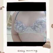 ヒメ日記 2026/03/24 22:06 投稿 いろは 熟女家 京橋店