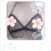 ヒメ日記 2026/04/09 15:16 投稿 いろは 熟女家 京橋店