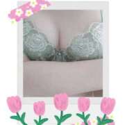 ヒメ日記 2026/04/22 10:13 投稿 いろは 熟女家 京橋店