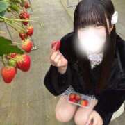 ヒメ日記 2026/03/17 14:01 投稿 りりな JAPAN CLUB BUNNY LOUNGE