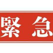 なごみ 緊急❕ ハニープラザ（ユメオト）