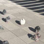 ヒメ日記 2026/03/29 18:00 投稿 しろ 上野ハンドメイド