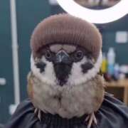 ヒメ日記 2026/04/04 19:59 投稿 しろ 上野ハンドメイド