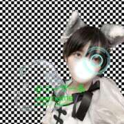 ヒメ日記 2026/04/06 17:38 投稿 しろ 上野ハンドメイド