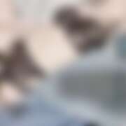 ヒメ日記 2026/04/15 01:07 投稿 しろ 上野ハンドメイド