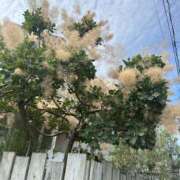 ヒメ日記 2026/04/21 23:00 投稿 しろ 上野ハンドメイド