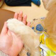 ヒメ日記 2026/08/09 10:40 投稿 新人　こむぎ MADAME Luxe