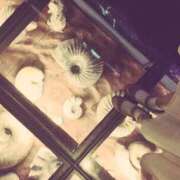 ヒメ日記 2026/03/25 19:30 投稿 厚木 理沙 人妻セレブ宮殿