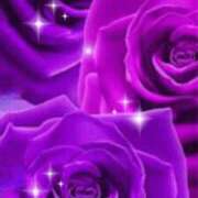 ヒメ日記 2026/03/19 22:11 投稿 愛（あい） 松戸デリヘル　熟女ヘブン