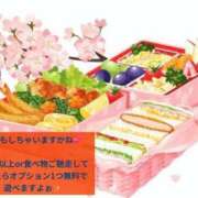 ヒメ日記 2026/04/08 20:18 投稿 れむ 福島郡山ちゃんこ