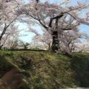 ヒメ日記 2026/04/09 09:57 投稿 れむ 福島郡山ちゃんこ