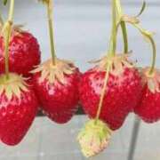 ヒメ日記 2026/03/11 09:47 投稿 雪（ゆき） 不倫快感