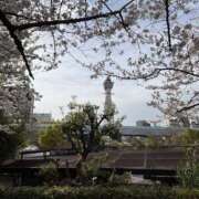 ヒメ日記 2026/04/10 08:25 投稿 わかば PINK PLANET