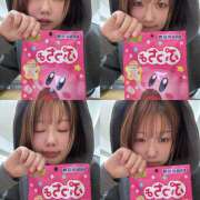 ヒメ日記 2026/03/14 10:56 投稿 まどか みつばちマーヤZ