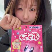 ヒメ日記 2026/03/31 01:11 投稿 まどか みつばちマーヤZ