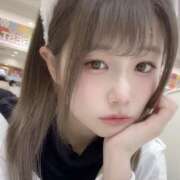 ヒメ日記 2026/04/14 01:09 投稿 まどか みつばちマーヤZ