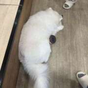 あんな あんな（スピード梅田店） スピード梅田店