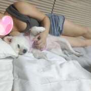 ヒメ日記 2026/03/21 14:42 投稿 ななみ 性腺熟女100％本店（デリヘル市場）