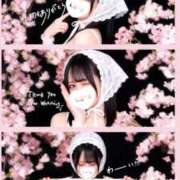 ヒメ日記 2026/03/27 00:32 投稿 ひより。 神戸回春性感マッサージ倶楽部