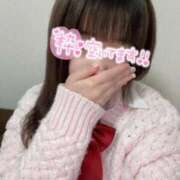ヒメ日記 2026/03/13 14:25 投稿 みはる IRIS(岐阜)