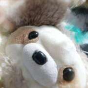 ヒメ日記 2026/04/17 19:26 投稿 みどり 渋谷じゃっくす