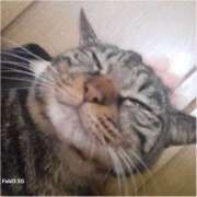 ヒメ日記 2026/04/09 17:55 投稿 あゆ ちゃんこ大阪伊丹空港豊中店