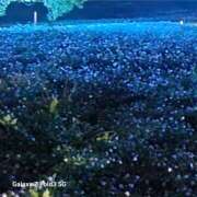ヒメ日記 2026/04/25 21:28 投稿 あゆ ちゃんこ大阪伊丹空港豊中店